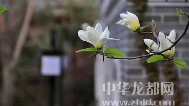 淮陽(yáng)蓮舍，多了一份味道