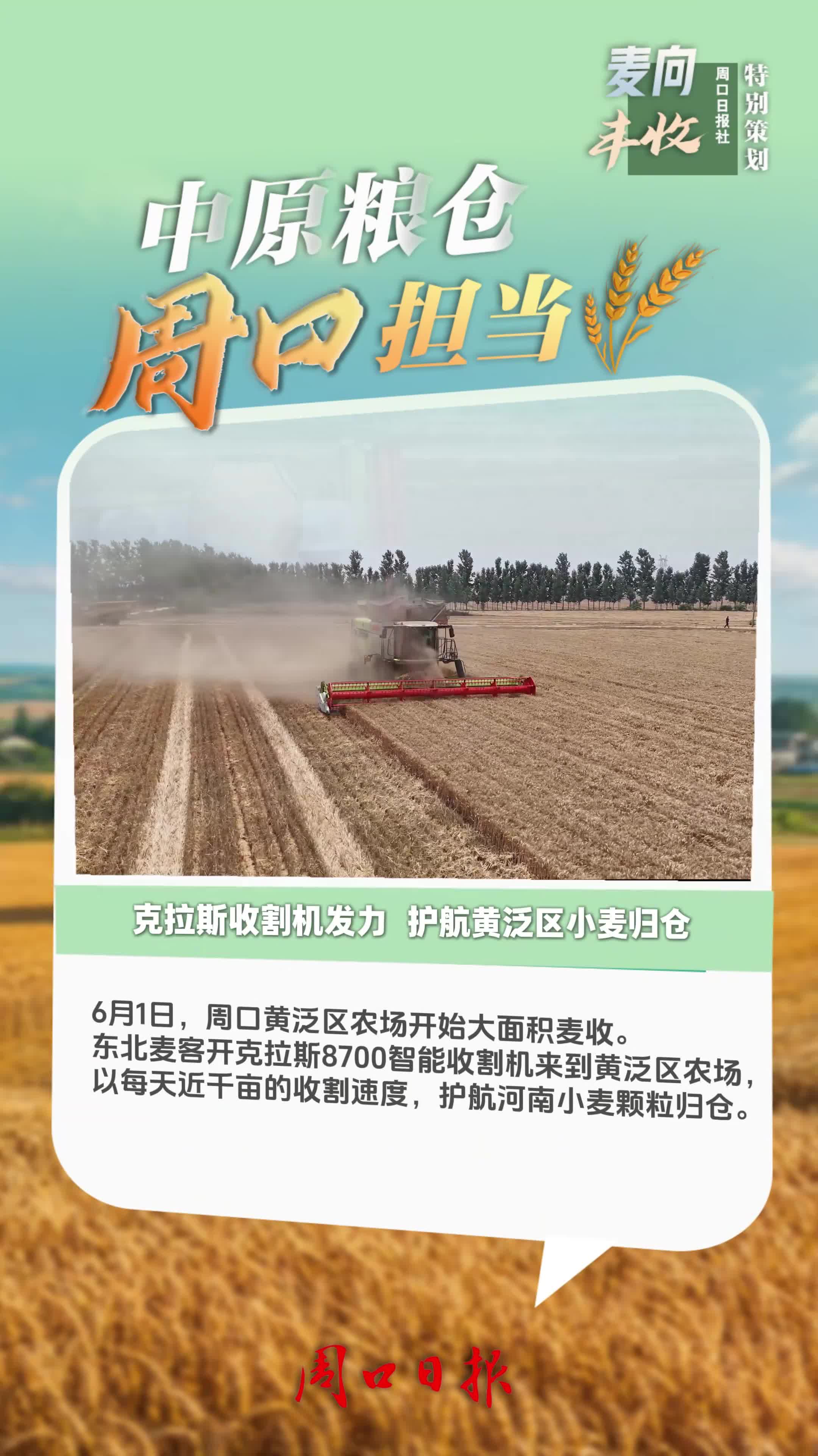 中原糧倉(cāng) 周口擔(dān)當(dāng)